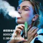 LANA 拋棄式8000口冰荔枝 | LANAVAPE 一次性電子煙口味推薦 - 台灣現貨：圖片 2